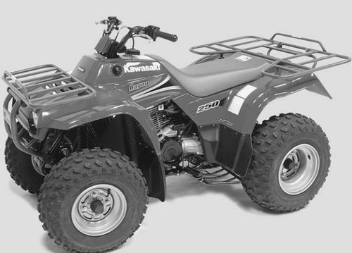 Product picture Kawasaki KLF 250 Bayou 250 Workhorse 250 2003-2005 Service Manual